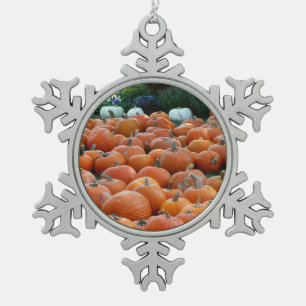 Ornement Flocon De Neige Photographie de récolte d'automne des citrouilles 