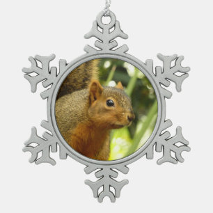 Ornement Flocon De Neige Portrait d'un Écureuil Photographie de la Nature e