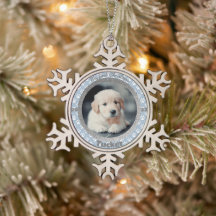Premier Empreinte de patte de Noël de Chiot Photo