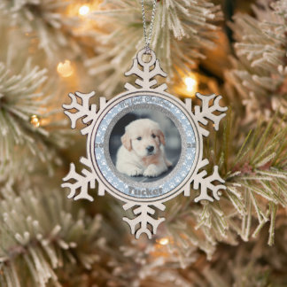 Ornement Flocon De Neige Premier Empreinte de patte de Noël de Chiot Photo