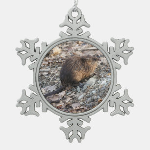 Ornement Flocon De Neige Rat musqué