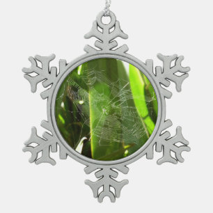 Ornement Flocon De Neige Spiderweb dans Tropical Leaves Nature