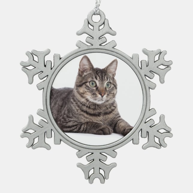 Ornement Flocon De Neige Tabby Gris (Devant)