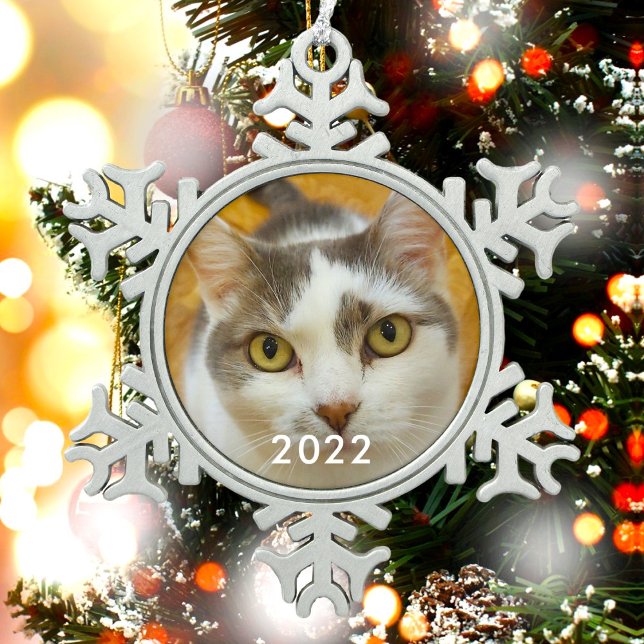 Ornement Flocon De Neige Texte photo de la famille d'animaux personnalisés (Créateur téléchargé)