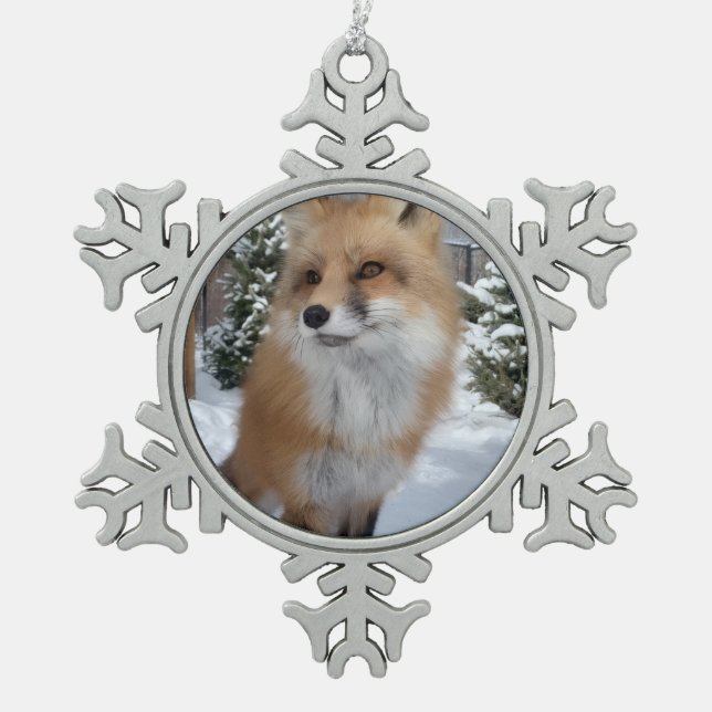 Ornement Flocon De Neige Wild Paws Finneas Snowflake Framed Ornament (Devant)