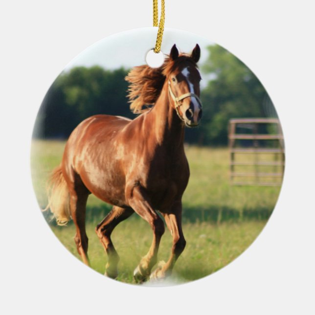 Ornement galopant de cheval de châtaigne (Devant)