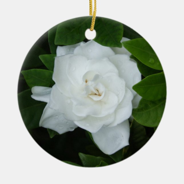 Ornement Gardenia (Devant)