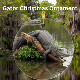 Ornement Gator