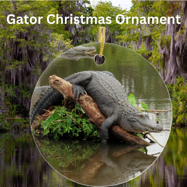 Ornement Gator (Créateur téléchargé)