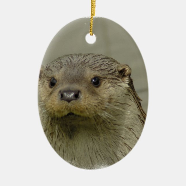 Ornement géant de loutre de rivière (Devant)