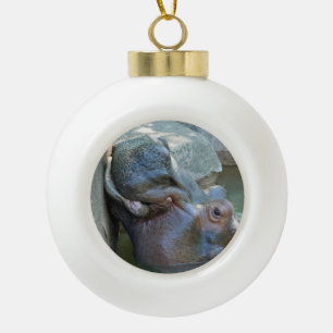 Ornement hippo