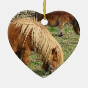 Ornement hirsute de poney de Shetland