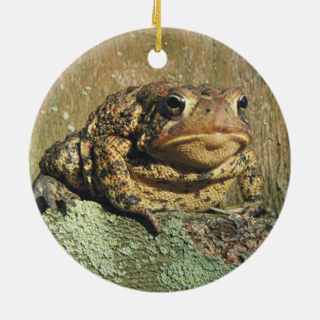 Ornement impressionnant de Noël de crapaud de (Dos)