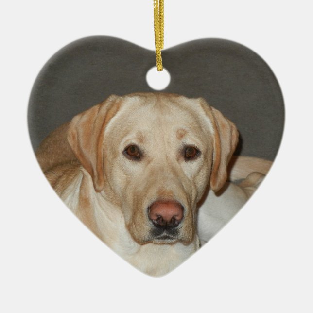 Ornement jaune de Noël de labrador retriever (Devant)