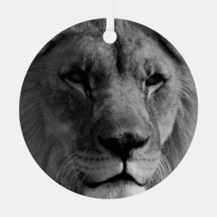 Ornement Lion noir et blanc