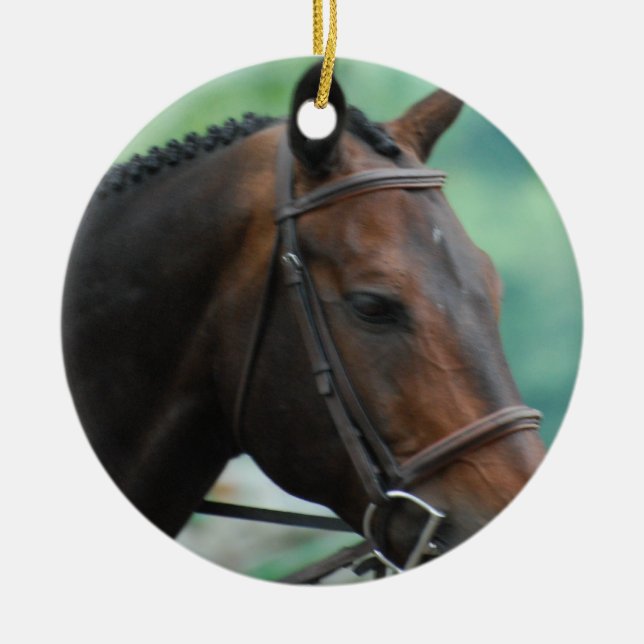 Ornement magnifique de cheval de Warmblood (Devant)