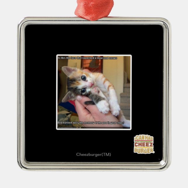 Ornement Métallique Aaaws (Devant)