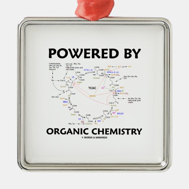 Ornement Métallique Actionné par chimie organique (cycle de Krebs) (Devant)