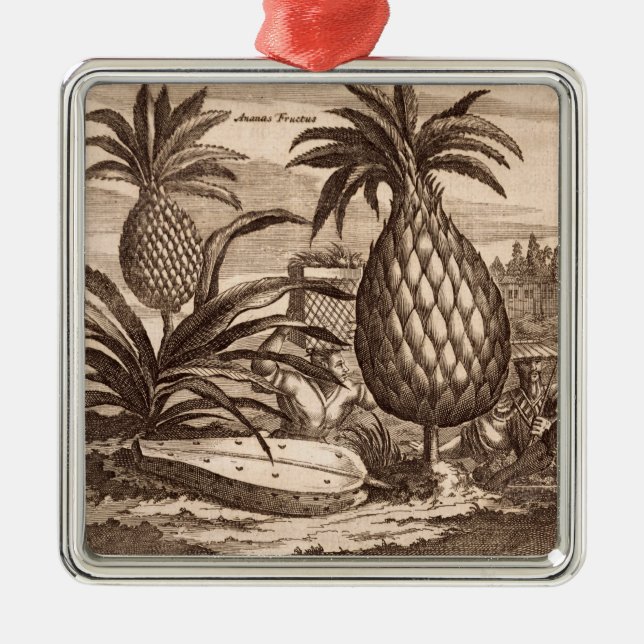 Ornement Métallique Agriculture de grands ananas, illustration d'un (Devant)