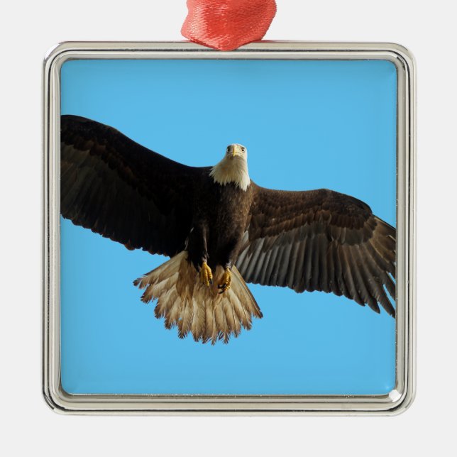 Ornement Métallique Aigle volant Oiseau de Prey Art (Devant)