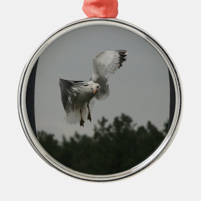 Ornement Métallique Ajouter une photo grand cadre ovale (noir) (Devant)