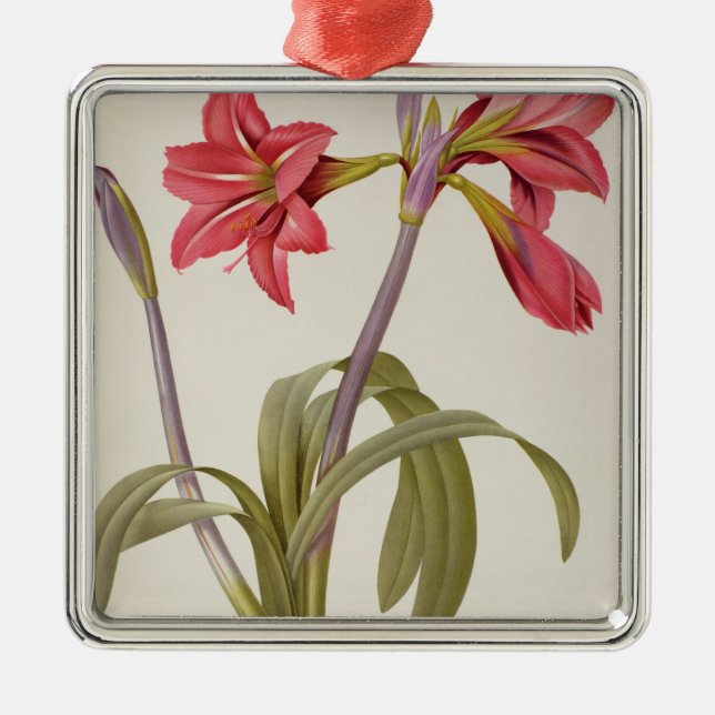 Ornement Métallique Amaryllis Brasiliensis (Devant)