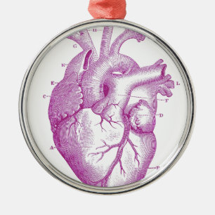 Ornement Métallique Anatomie vintage pourpre de coeur