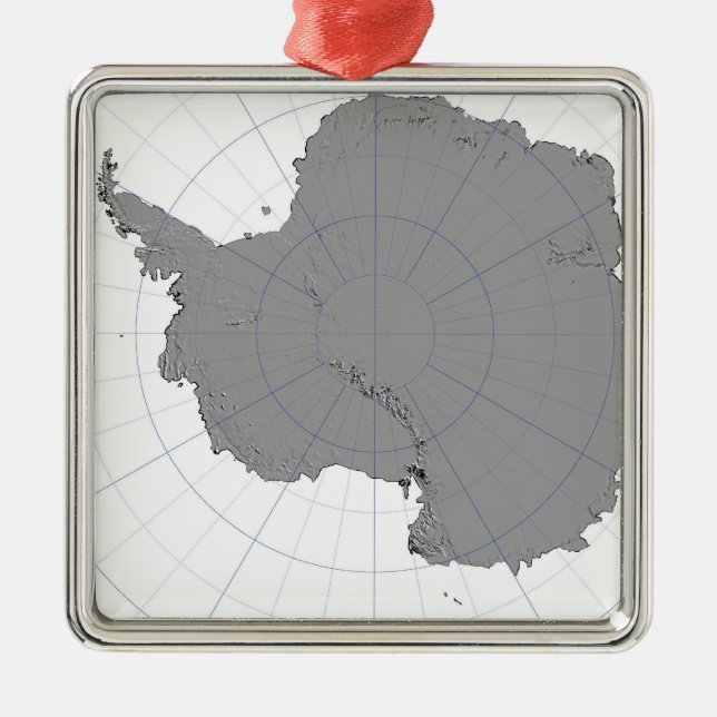Ornement Métallique Antarctique (Devant)