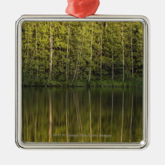 Ornement Métallique Arbres reflétés dans l'eau