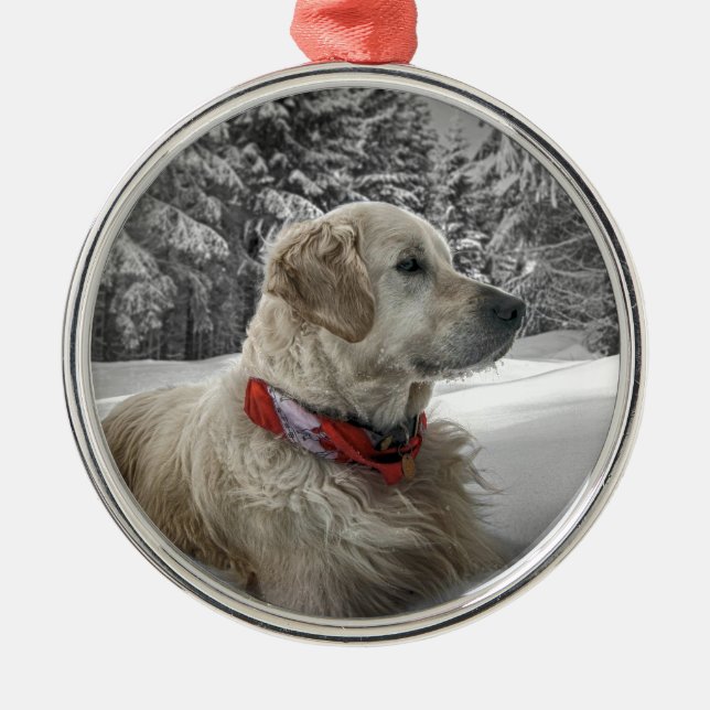 Ornement Métallique Beau golden retriever dans la neige (Devant)