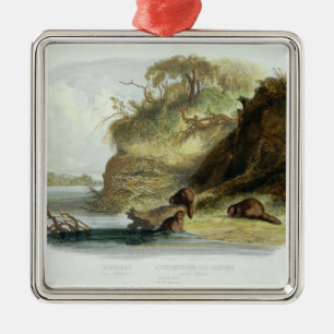 Ornement Métallique Beaver la hutte sur le Missouri, plaquez 17 du