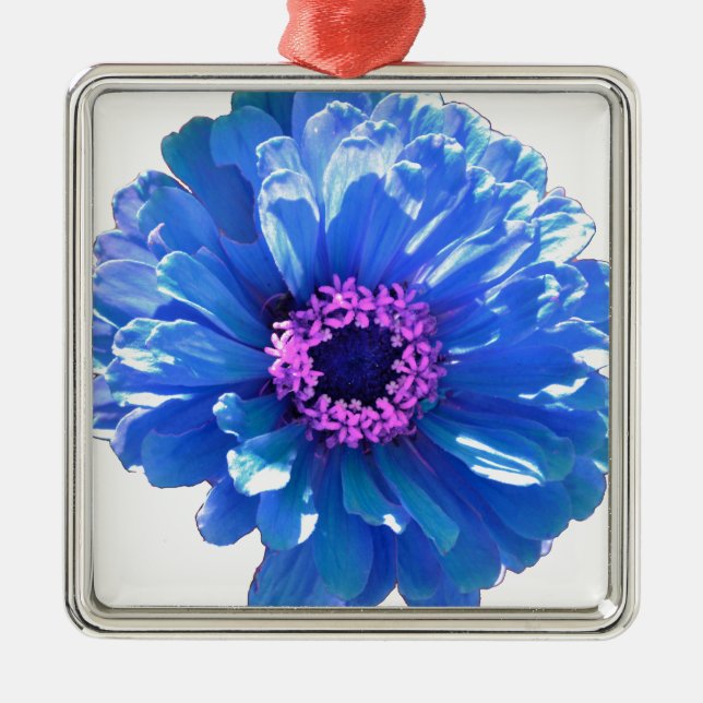 Ornement Métallique Bleu marguerite bleu photo florale (Devant)