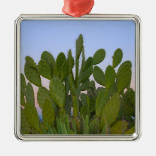 Ornement Métallique Cactus et sisal dans la forêt sèche