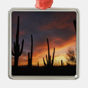 Ornement Métallique cactus saguaro, Carnegiea gigantea, après