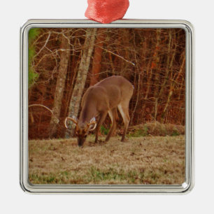 Ornement Métallique Camouflage en chêne rouge Stag Buck Deer Nourritur