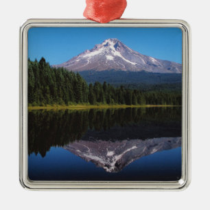 Ornement Métallique Capot de bâti reflété dans le lac