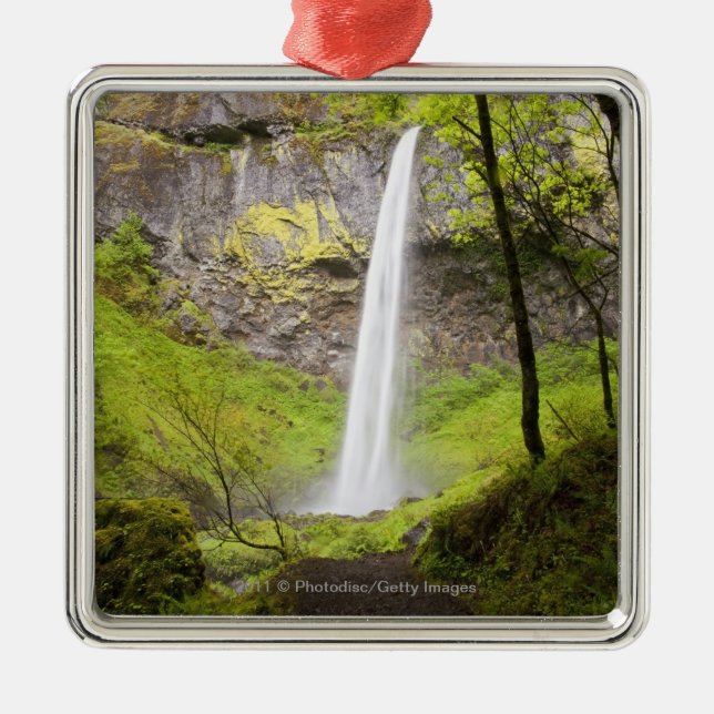 Ornement Métallique Cascade brouillée autour de verdure luxuriante en (Devant)