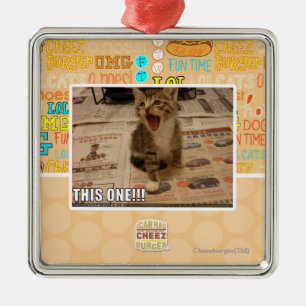 Ornement Métallique Celui-ci !