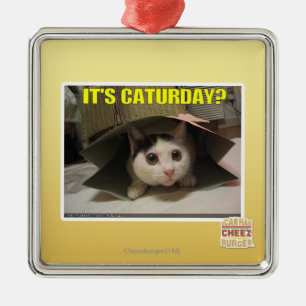 Ornement Métallique C'est Caturday ?