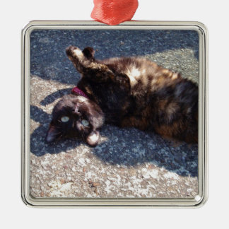 Ornement Métallique Chat Tortoiseshell