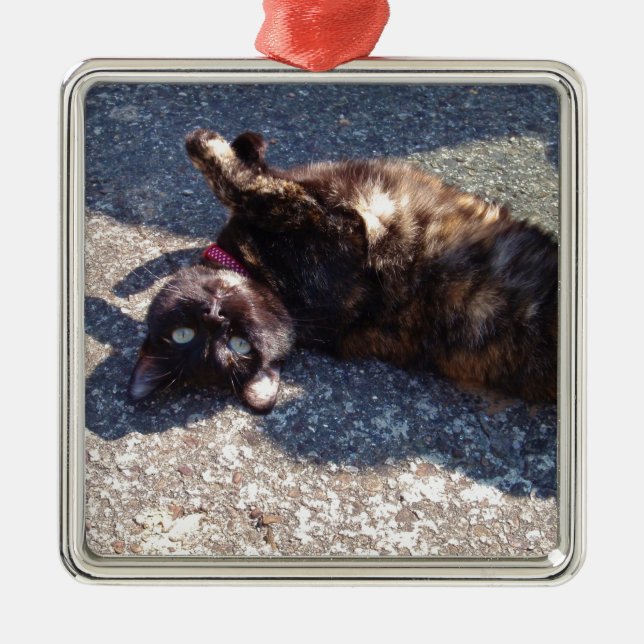 Ornement Métallique Chat Tortoiseshell (Devant)