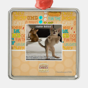 Ornement Métallique Chaton de Raptor