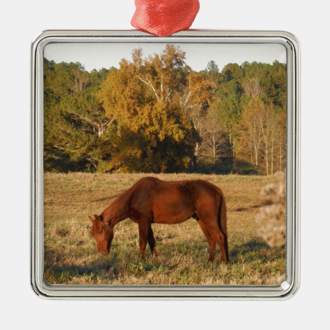 Ornement Métallique Cheval Brown dans le champ d'arbre jaune (Devant)