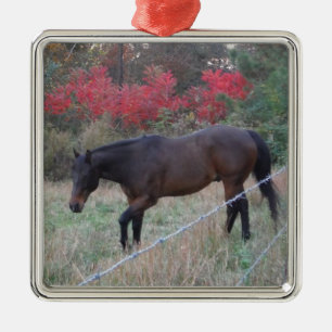 Ornement Métallique Cheval Brown dans les arbres d'automne rouges