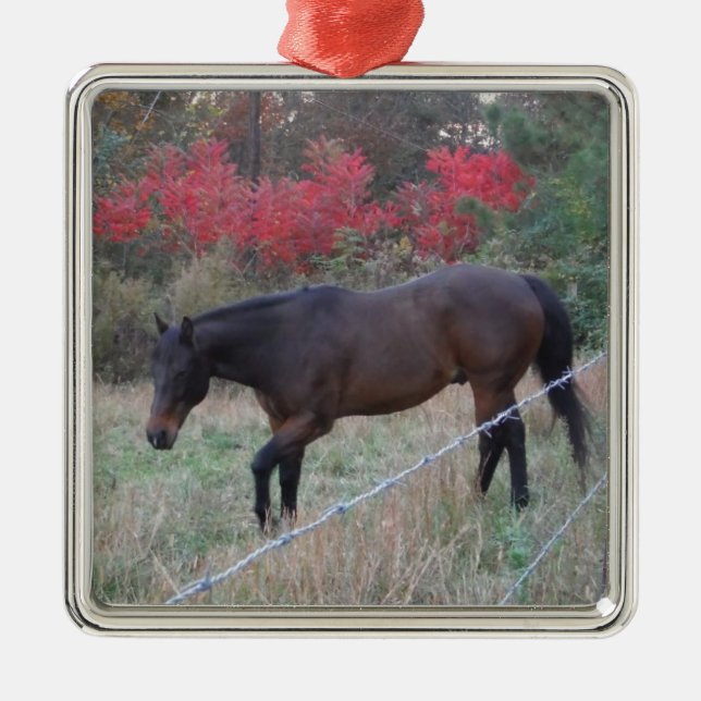 Ornement Métallique Cheval Brown dans les arbres d'automne rouges (Devant)