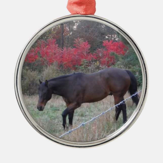 Ornement Métallique Cheval Brown dans les arbres d'automne rouges (Devant)