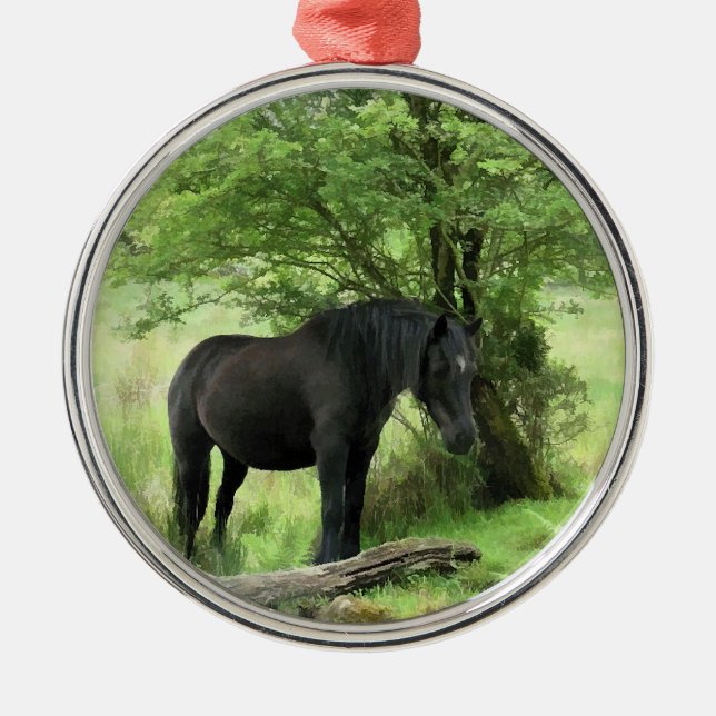 ORNEMENT MÉTALLIQUE CHEVAUX (Devant)