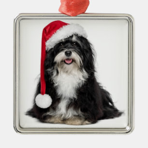 Ornement Métallique Chien drôle de Havanese de Noël avec le casquette