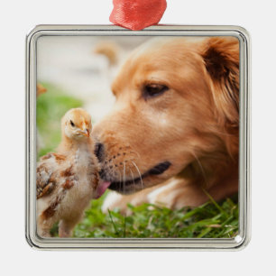 Ornement Métallique Chien et poussin