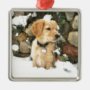 Ornement Métallique Chiot à neige